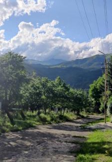 Dilijan House | Family-Friendly Sunny Lodge Dilijan with Top Ratings