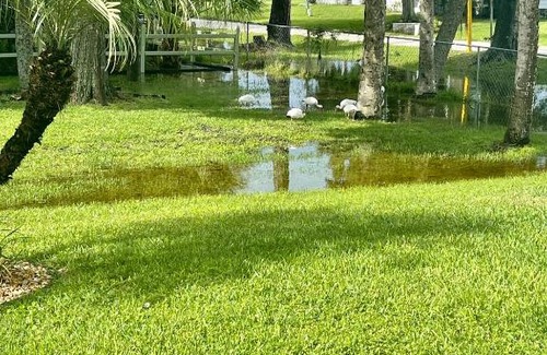 Laurel House | Sunny Oasis Getaway: Heated Pool & Mini Golf Near Beach