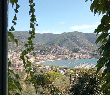 Rapallo Villa | Sunrise Hotel: 4-Star Comfort with Family-Friendly Dining