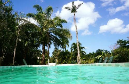 Barroui Resort | Seaside Escape at Sunset Bay Club & Dive Resort