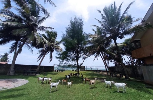 Hettimulla House | Relax at Sunset Beach Rest with Oceanfront Amenities