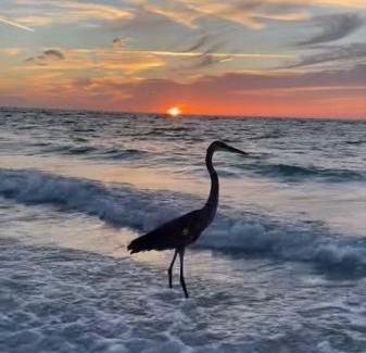 Holmes Beach Apartment | Tranquil Retreat at Sunset Connection - Gulf Place