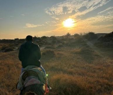 Jaisalmer House | Pet Friendly Sunset Guest House Homestay in Jaisalmer