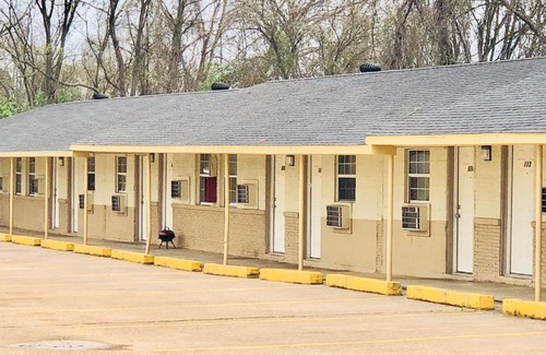 Longview Hotel | Pet-Friendly Retreat at Sunset Inn Longview for Families
