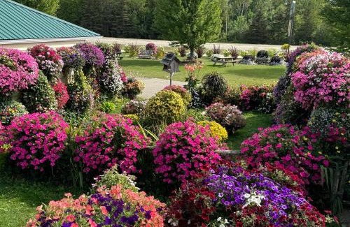 St Ignace Hotel | Relax at Sunset Motel of St. Ignace - 4 Star Comfort Awaits