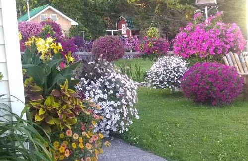 St Ignace Hotel | Relax at Sunset Motel of St. Ignace - 4 Star Comfort Awaits