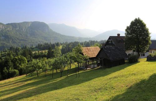 Bohinj Apartment | Sunset Valley Apartments and Rooms