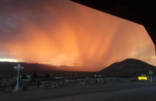 Alamo Hotel | Pet-Friendly Sunset View Inn with Great Amenities & Reviews