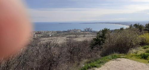 Byala Bed & Breakfast | Sunshine Byala 2