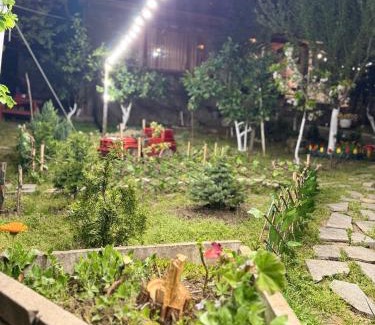 Kutaisi Villa | Family-Friendly Sunshine House with Kitchen & Top Reviews