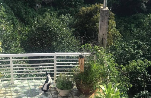 Phuong 10 House | Relax at Sunyata - Pet-Friendly Forest Retreat Awaits