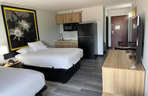 Alexandria Hotel | Pet-Friendly Super 8 by Wyndham Alexandria with Pool Access