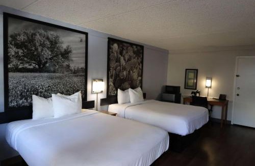 East Congress Hotel | Pet-Friendly Stay at Super 8 by Wyndham Austin South I-35