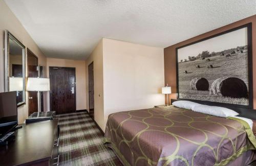 Campbellsville Hotel | Pet Friendly Escape at Super 8 by Wyndham Campbellsville