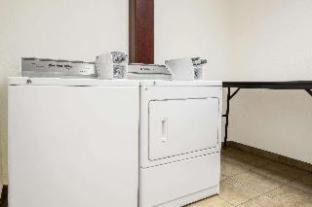 Cedar Falls Hotel | Pet-Friendly Super 8 Hotel in Cedar Falls with Pool Access