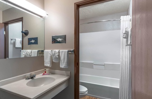 Cortez Hotel | Eco-Friendly Getaway at Super 8 by Wyndham Cortez