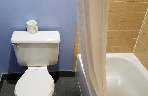 Fort Collins Hotel | Discover Comfort at Super 8 by Wyndham Fort Collins