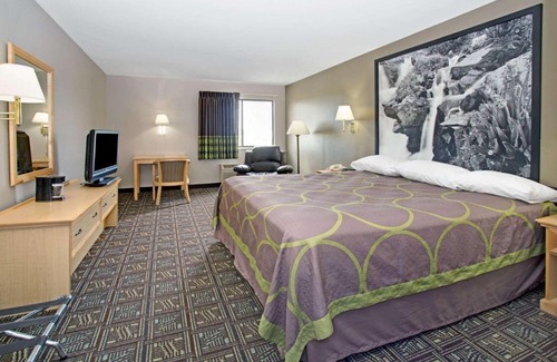 Fort Collins Hotel | Pet-Friendly Super 8 by Wyndham Fort Collins Awaits You