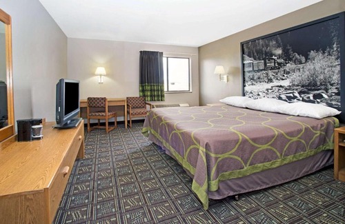 Fort Collins Hotel | Pet-Friendly Super 8 by Wyndham Fort Collins Awaits You