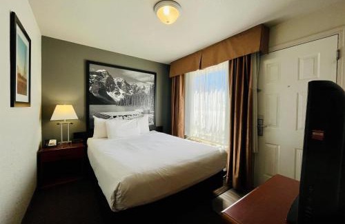 Grande Prairie Hotel | Pet-Friendly Super 8 by Wyndham Grande Prairie with Pool