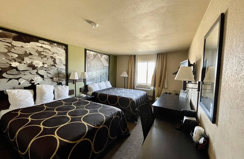 Macon Hotel | Eco-Friendly Stay at Super 8 by Wyndham Macon