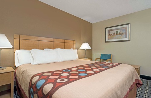 Melrose Hotel | Convenient Stay at Super 8 by Wyndham Melrose with Breakfast