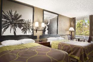 National Gardens Hotel | Pet-Friendly Super 8 by Wyndham Ormond Beach Awaits You