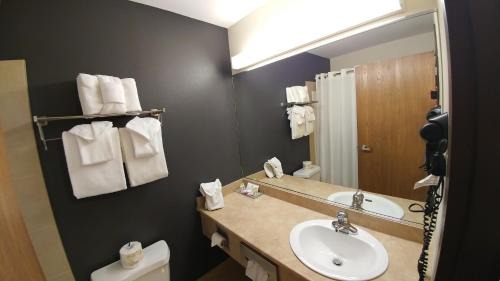 Ste. Foy Hotel | Pet-Friendly Getaway at Super 8 by Wyndham Quebec City