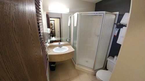Ste. Foy Hotel | Pet-Friendly Getaway at Super 8 by Wyndham Quebec City
