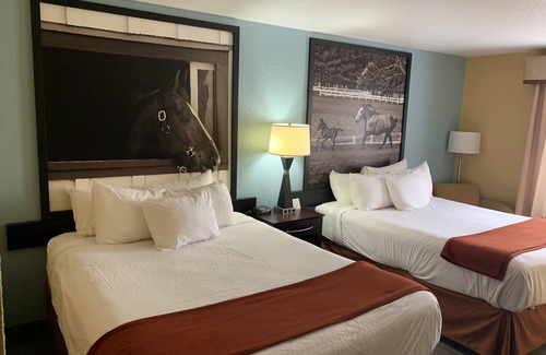Richmond Hotel | Comfortable Stay at Super 8 by Wyndham Richmond