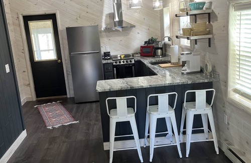 Mio Cabin | Tranquil Cabin Steps from AuSable River & ORV Trails