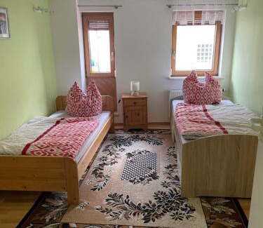 Owen Apartment | Spacious Vacation Apartment for Families and Pets