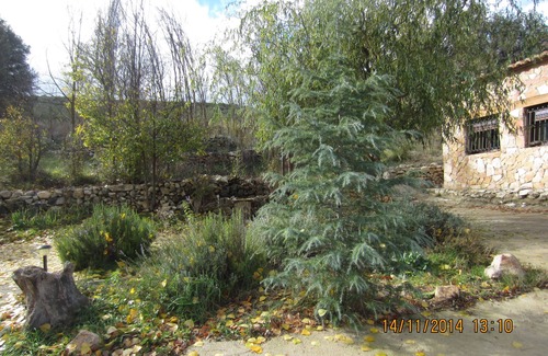 Gea de Albarracin Cottage | Discover Super Masia: A Pet-Friendly Retreat in Nature