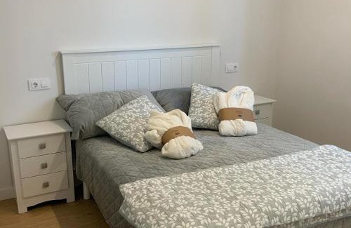 Noja Apartment | Beautiful Oceanfront Apartment with Pet-Friendly Amenities