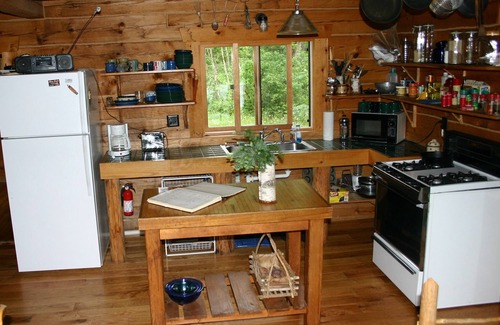 New Post Cabin | Tranquil Log Cabin Retreat with Spectacular Lake Views