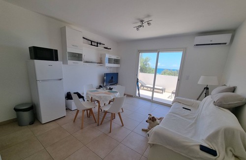 Bravone Apartment | Superb studio feet in the water on the beach