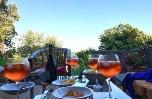 Saint-Paul-en-Foret Villa | Beautiful Villa with Pool and Ocean View in Var, Provence