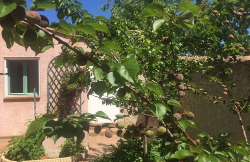Grans Villa | Tranquil Villa with Private Pool and Garden for Families