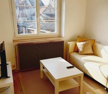 Crepy-en-Valois Apartment | Beautiful Apartment in the Heart of Crépy - Pet Friendly