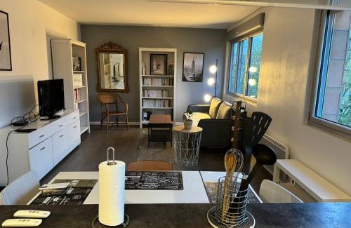 Combat Apartment | Elegant Apartment in Central Paris Near Buttes Chaumont