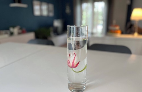 Saint-Germain-sur-Morin House | Family Home Near Disneyland Paris with Spa and Breakfast
