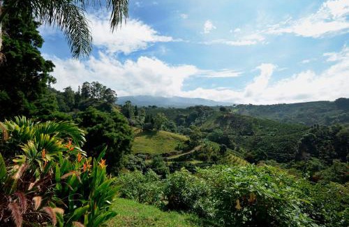 Cajon Apartment | Guest Rated: Supercostarica with Family-Friendly Amenities