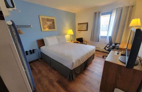 Glendive Hotel | Discover SureStay by Best Western: Pet-Friendly Comfort