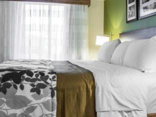 Superstition Springs Hotel | Relax at SureStay Plus by Best Western Mesa with Pool & Spa