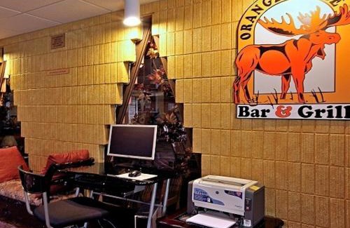 Black River Falls Hotel | Pet-Friendly Escape at SureStay Plus Hotel Black River Falls