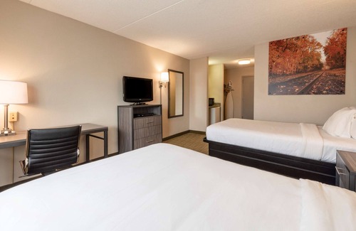 Cookstown Hotel | Comfortable Stay at SureStay Plus Hotel near McGuire AFB