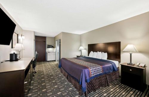 Lubbock Hotel | Pet-Friendly Retreat at SureStay Plus Hotel in Lubbock