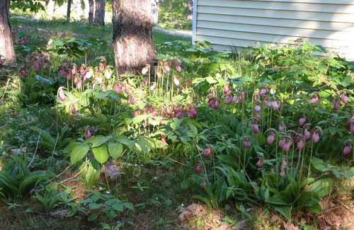 Phippsburg Cottage | Discover Summer Getaways at Popham Beach with Ocean Views