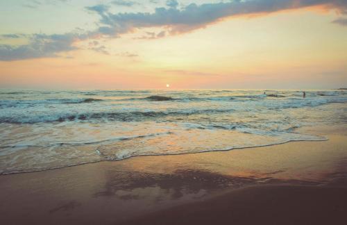 Avoca Beach House | Beachfront Surf Lodge Avoca: Family-Friendly Comfort Awaits