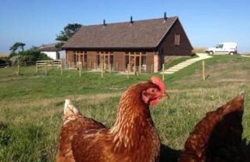Shorwell House | Charming Surf Shack: Pet-Friendly Cottage in Shorwell